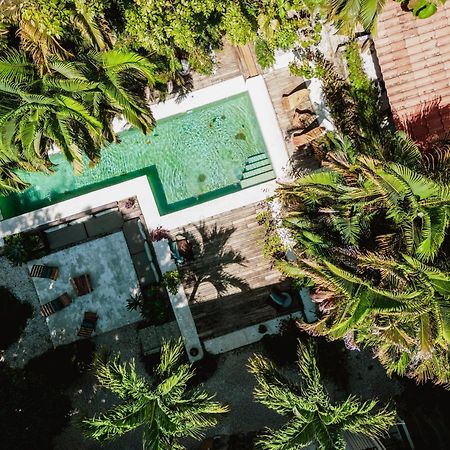 Griss Lodge & Spa Playa Santa Teresa  エクステリア 写真