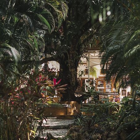 Griss Lodge & Spa Playa Santa Teresa  エクステリア 写真