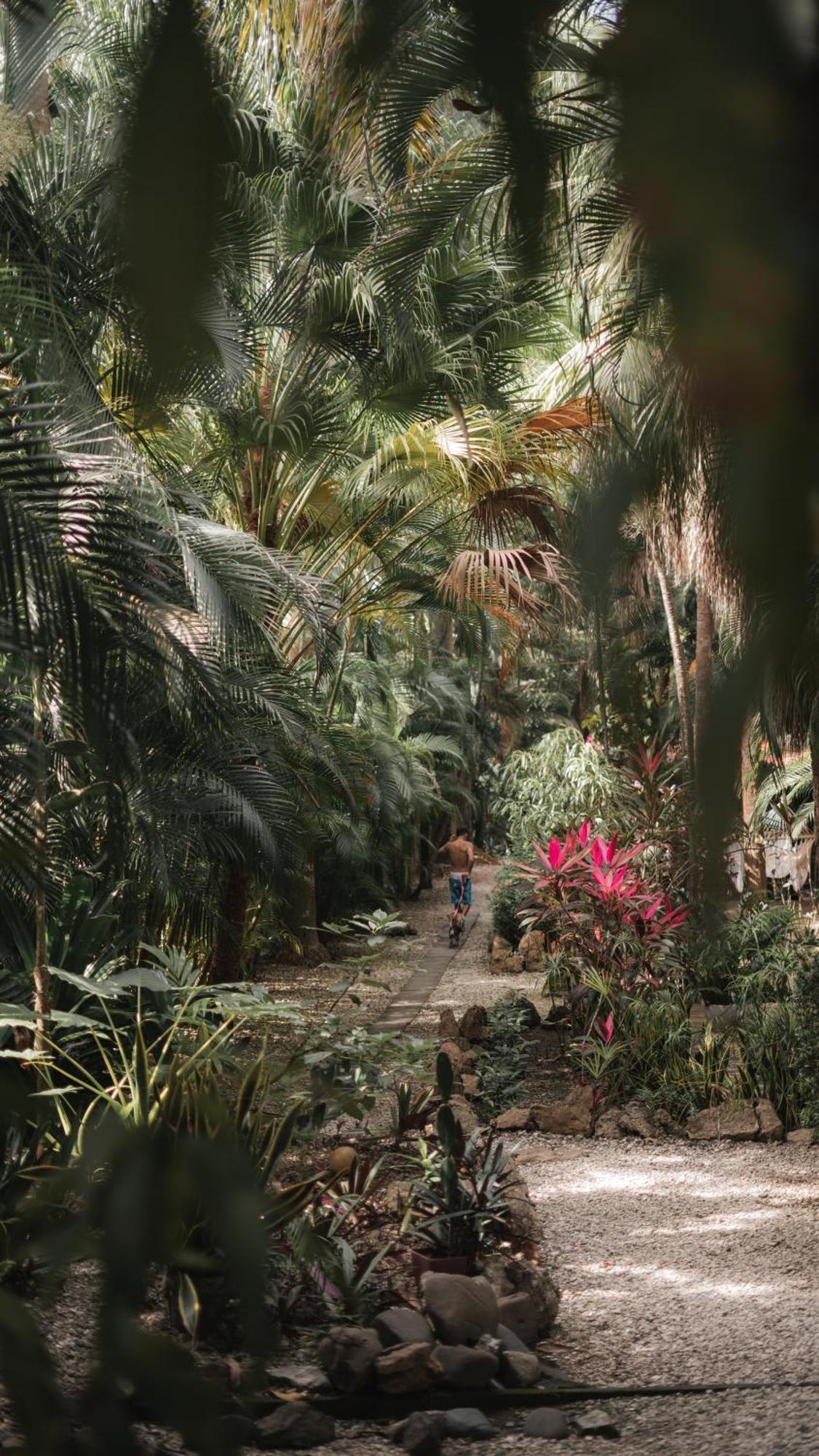 Griss Lodge & Spa Playa Santa Teresa  エクステリア 写真
