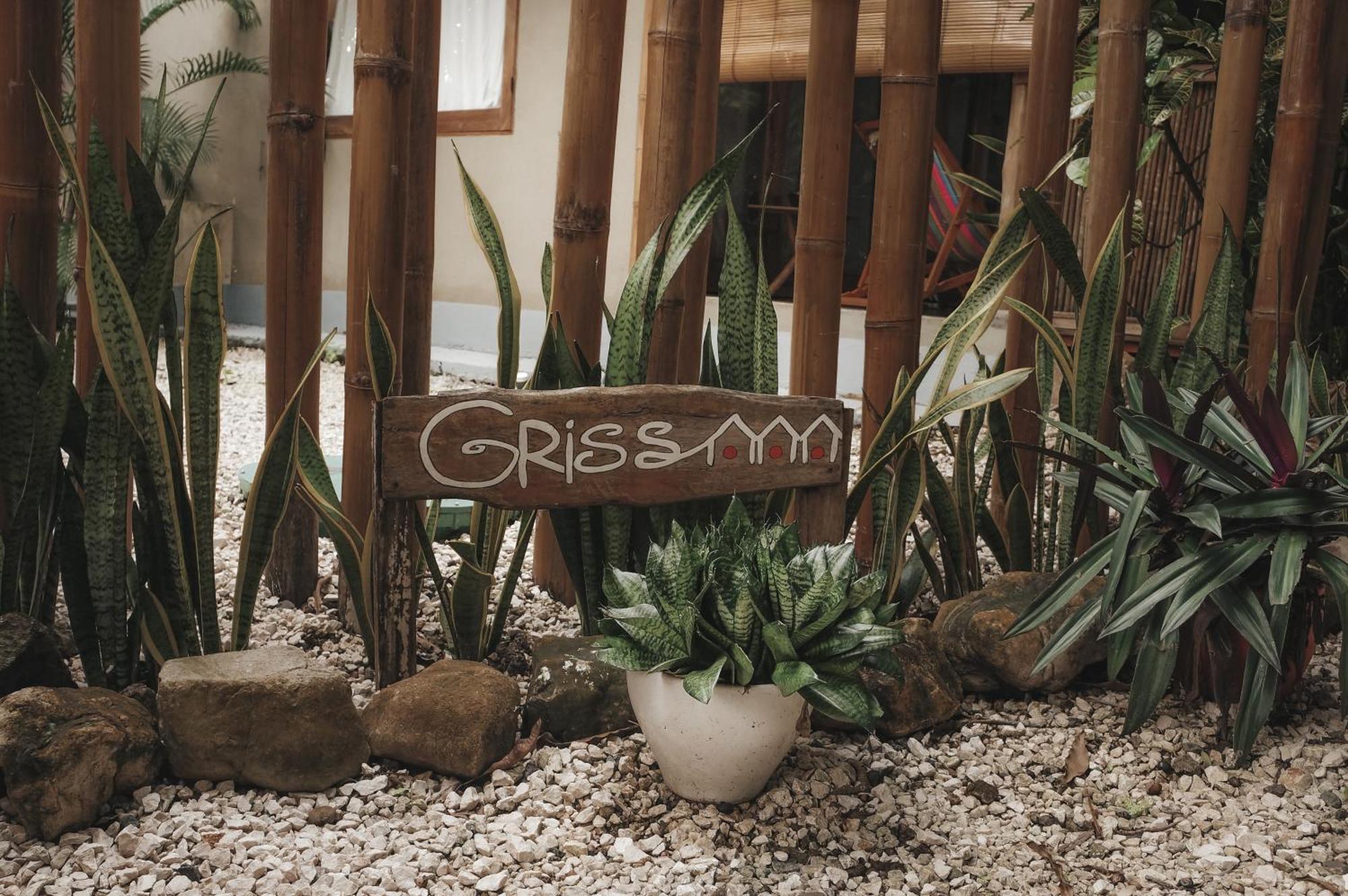 Griss Lodge & Spa Playa Santa Teresa  エクステリア 写真