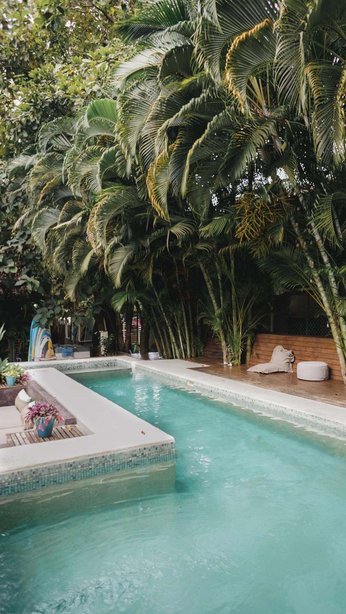 Griss Lodge & Spa Playa Santa Teresa  エクステリア 写真