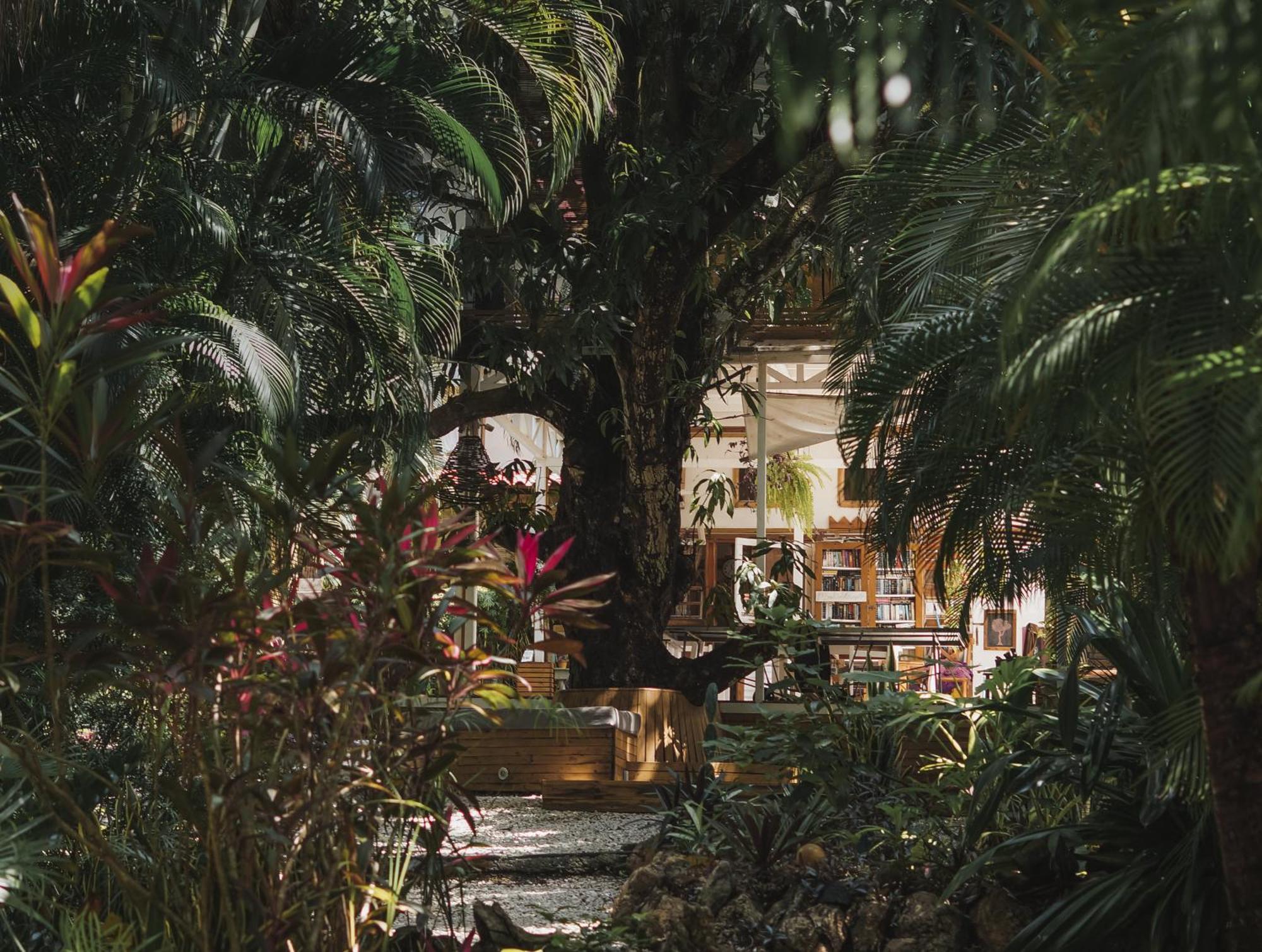 Griss Lodge & Spa Playa Santa Teresa  エクステリア 写真