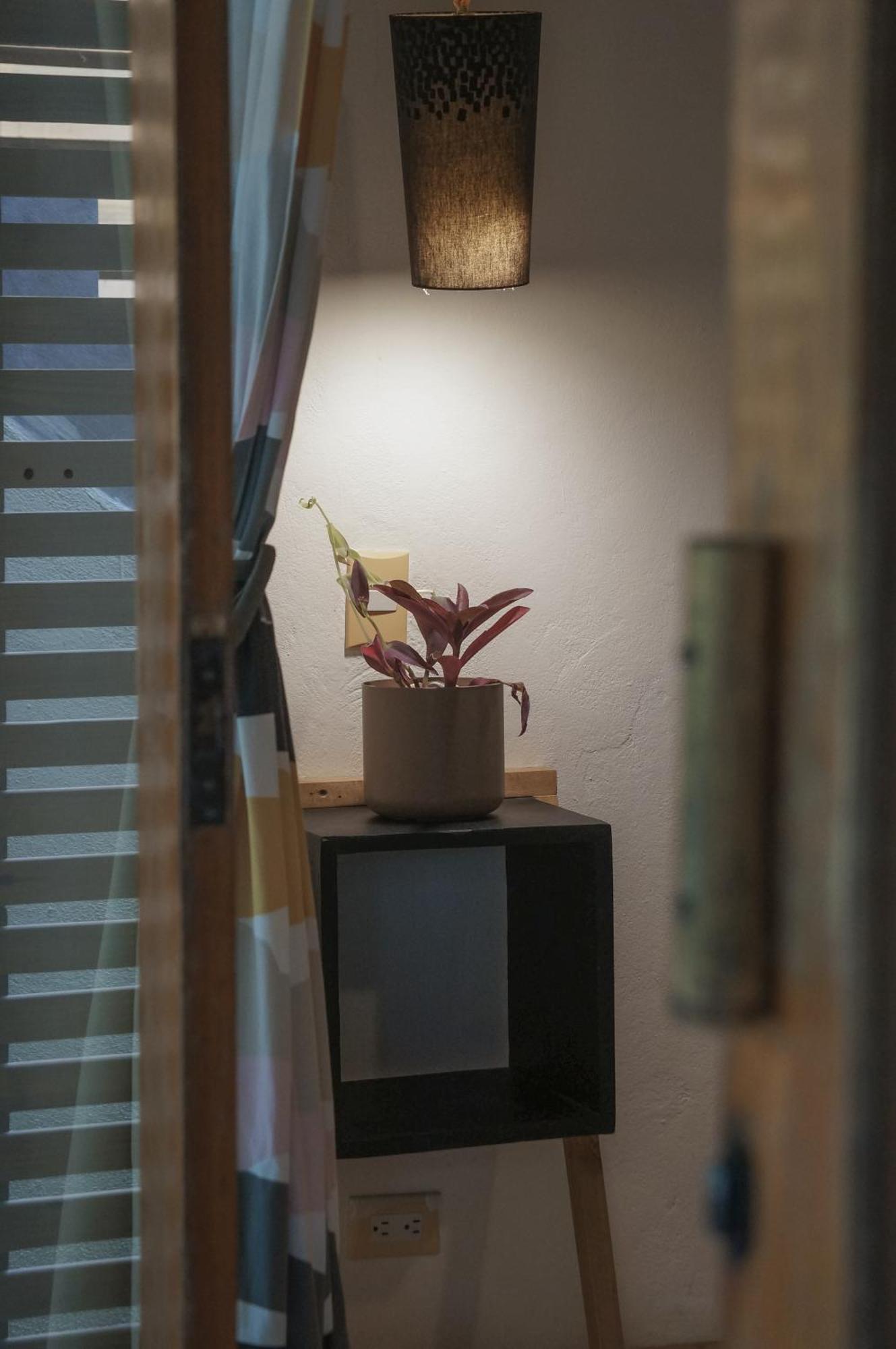 Griss Lodge & Spa Playa Santa Teresa  エクステリア 写真