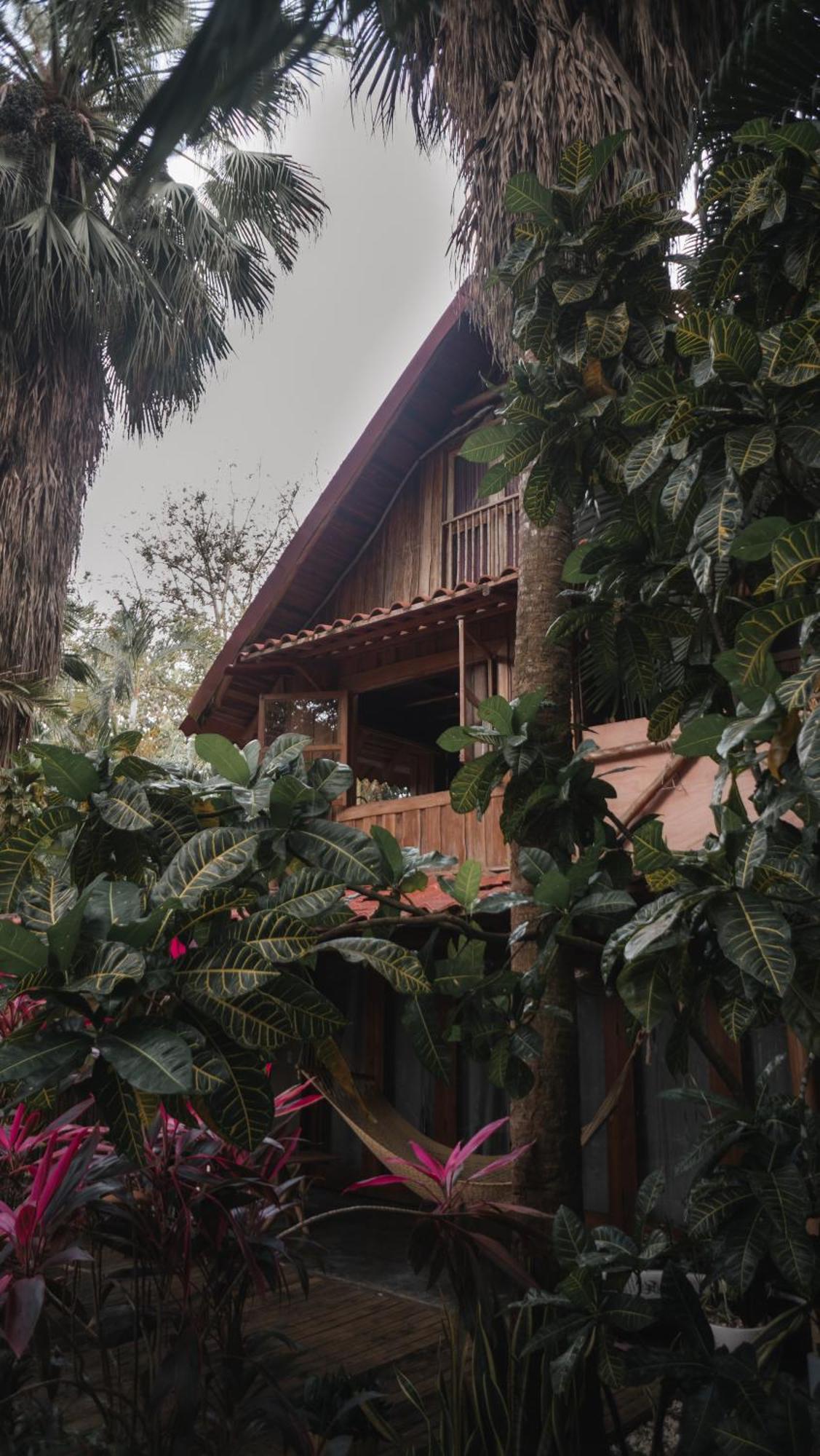 Griss Lodge & Spa Playa Santa Teresa  エクステリア 写真