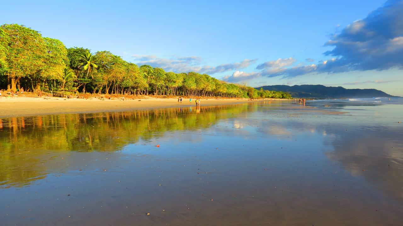 Griss Lodge & Spa Playa Santa Teresa  エクステリア 写真